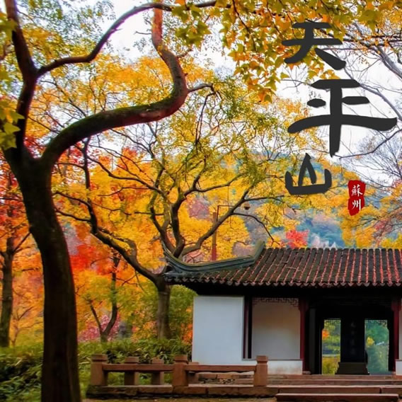 早上7点就能进天平山赏枫